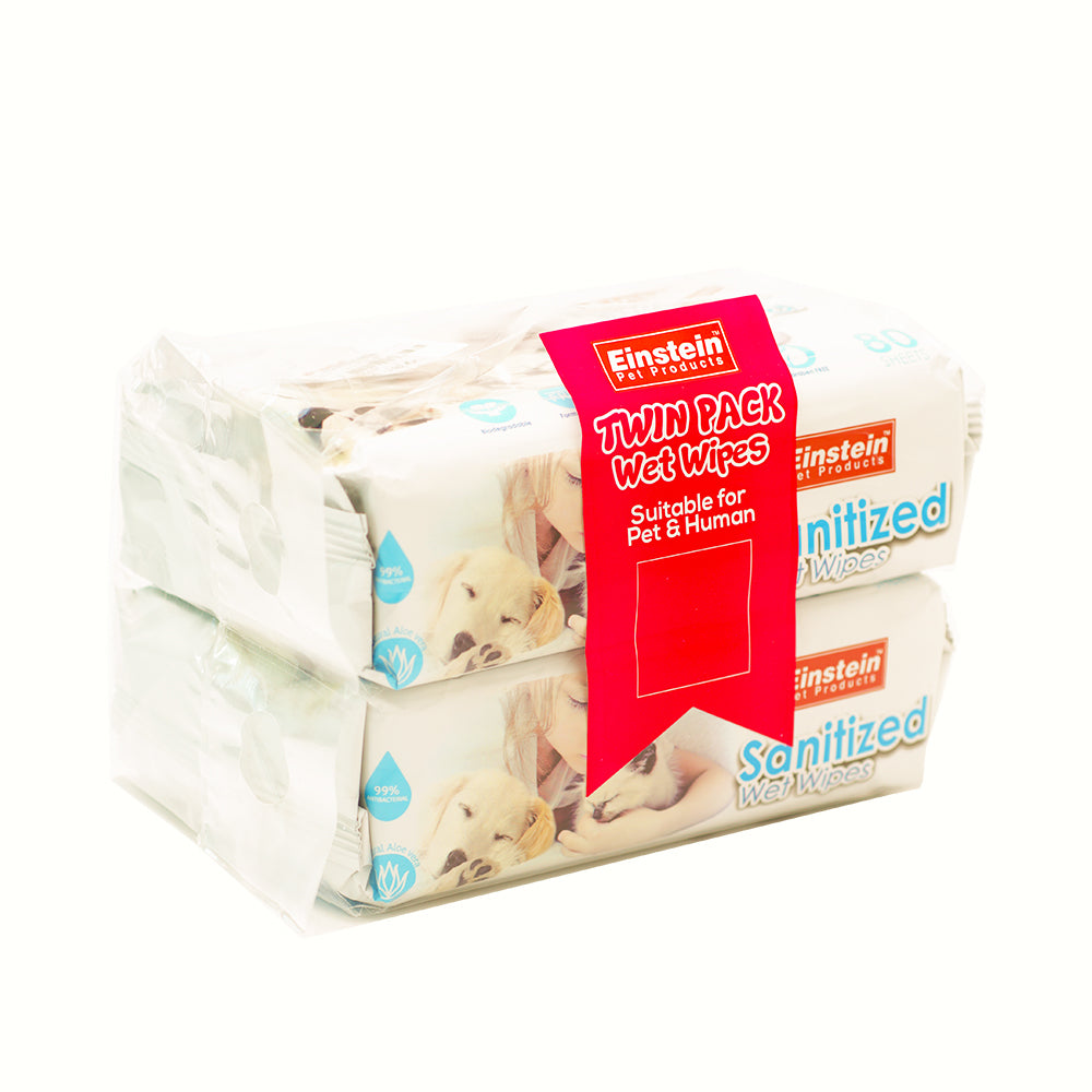 Einstein Sanitized wipes 80s, Original (Twin Packed)