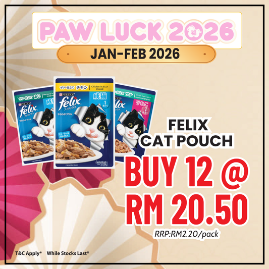 Felix Adult Cat Pouch 70g