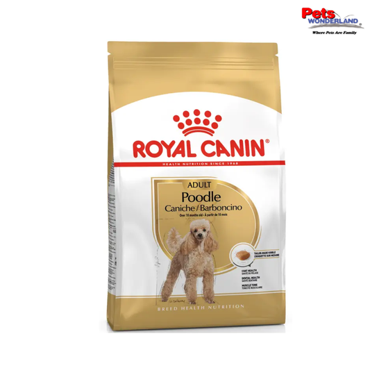Royal Canin Poodle Adult