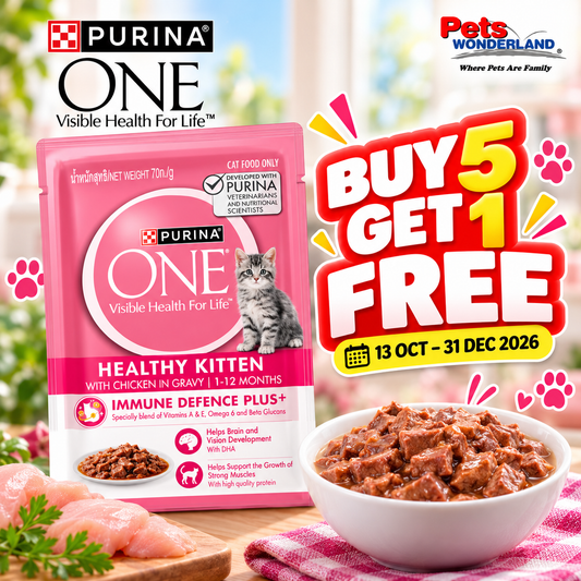 BUY 5 GET 1 FREE - ONE Kitten Chicken Pouch 70g