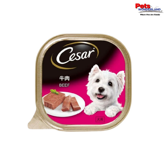 CESAR Dog Wet Food Adult Beef 100g