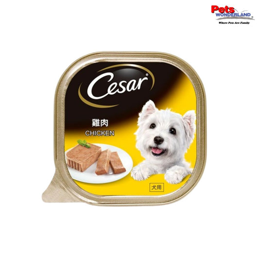 CESAR Dog Wet Food Adult Chicken 100g