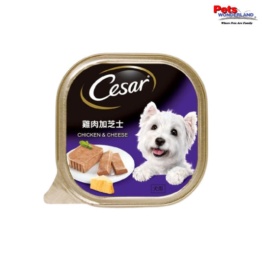 CESAR Dog Wet Food Adult Chicken & Cheese 100g