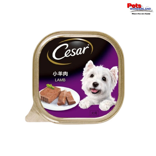 CESAR Dog Wet Food Adult Lamb 100g