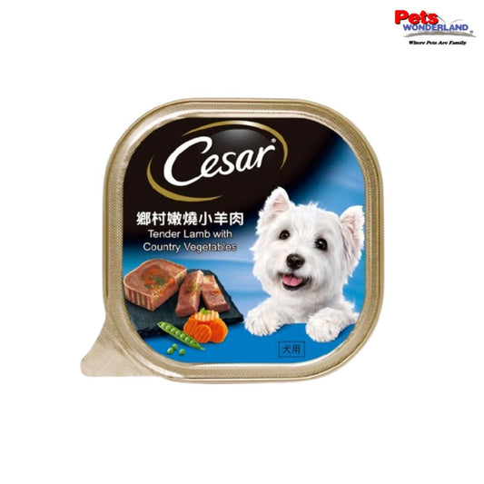 CESAR Dog Wet Food Adult Tender Lamb & Vege 100g