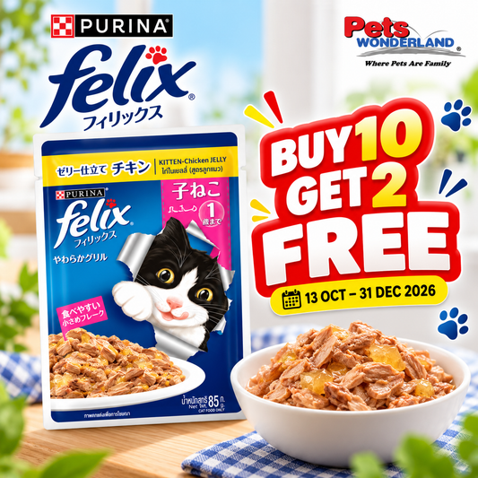 BUY 10 GET 2 FREE  - FELIX Kitten Chicken Cat Pouch 85g