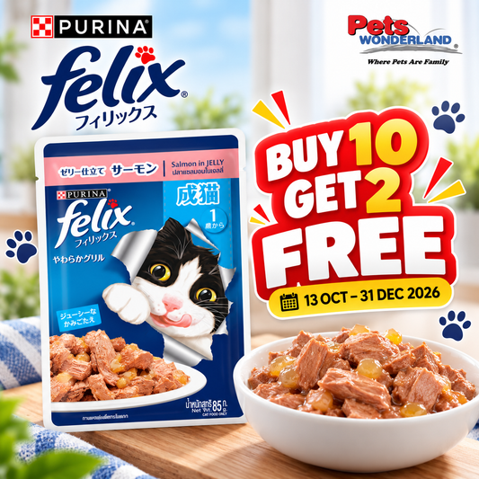 BUY 10 GET 2 FREE  - Felix Salmon Adult Cat Pouch 85g