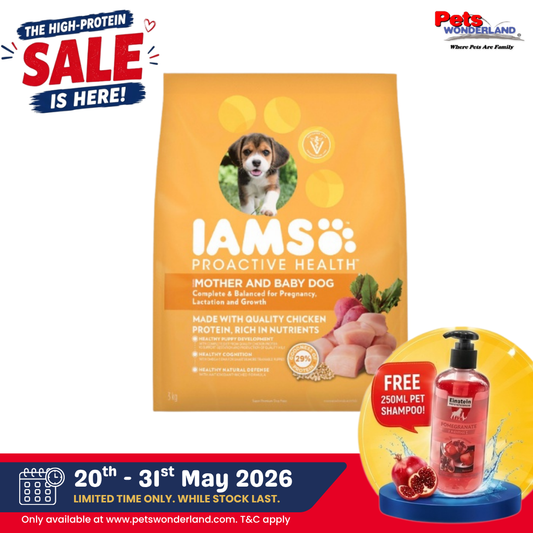 IAMS Dog Dry Food Puppy Small Breed 3kg