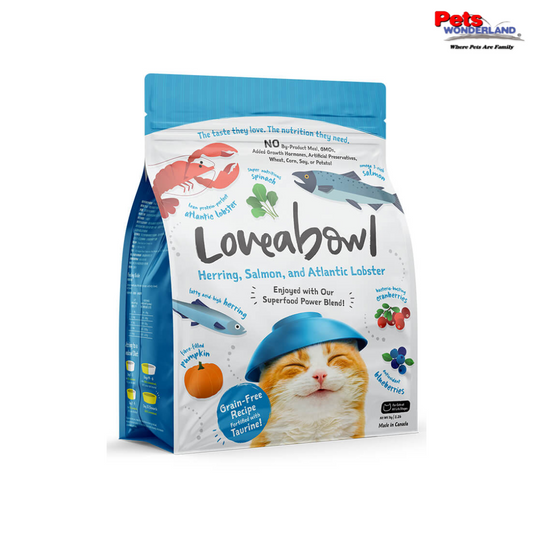 LOVEABOWL Herring, Salmon & Lobster Cat