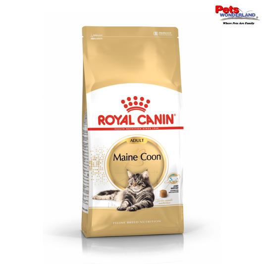 Royal Canin Maine Coon Adult Cat Dry Food 4kg