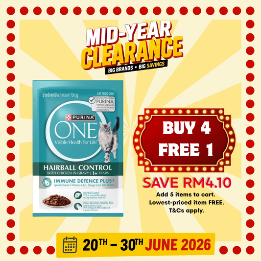 ONE Adult Cat HairBall Chicken Pouch 70g