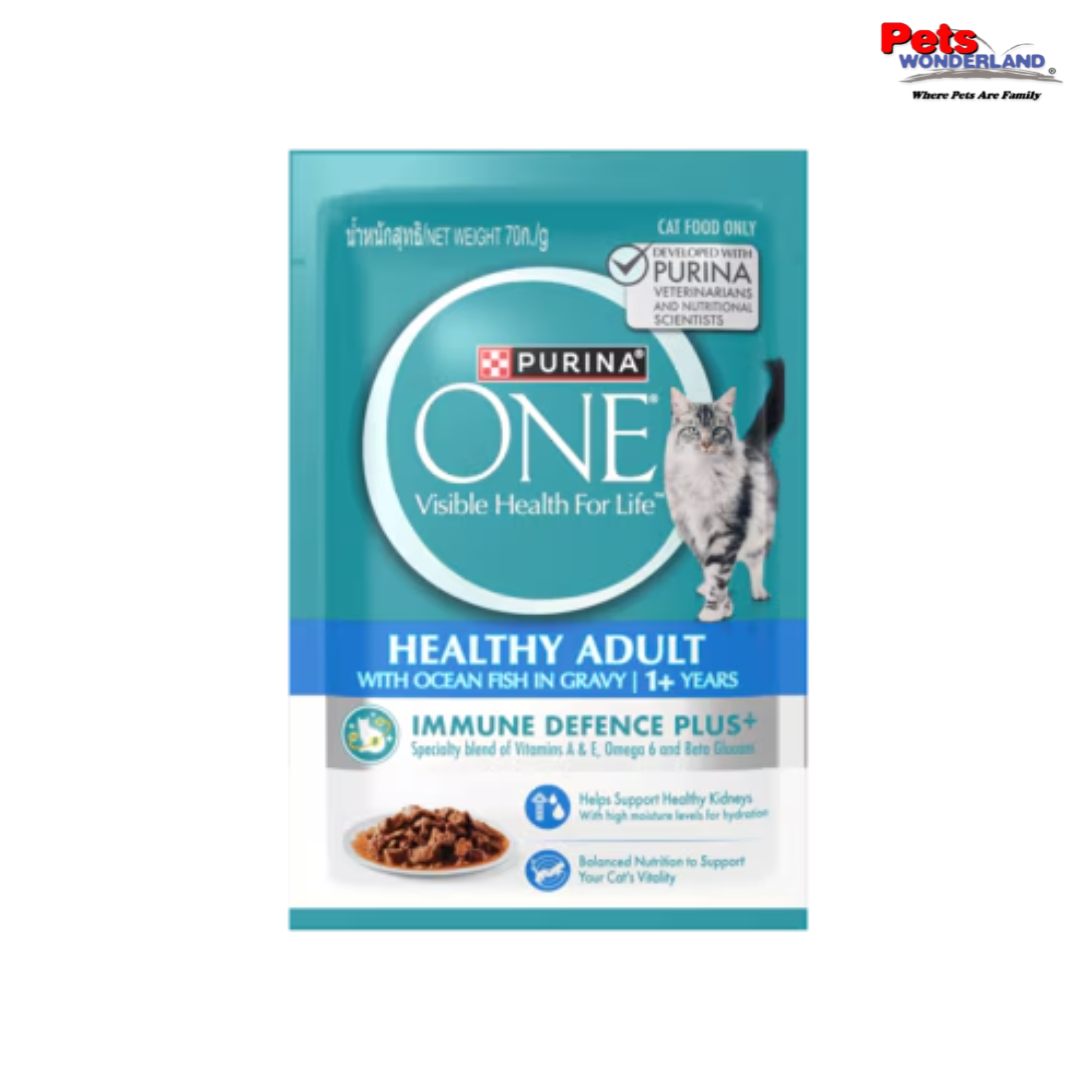 ONE Adult Cat Ocean Fish Pouch 70g