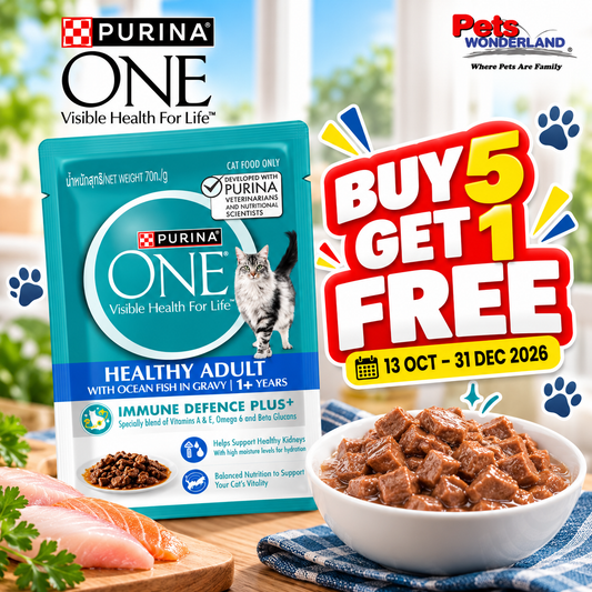 BUY 5 GET 1 FREE - ONE Adult Cat Ocean Fish Pouch 70g