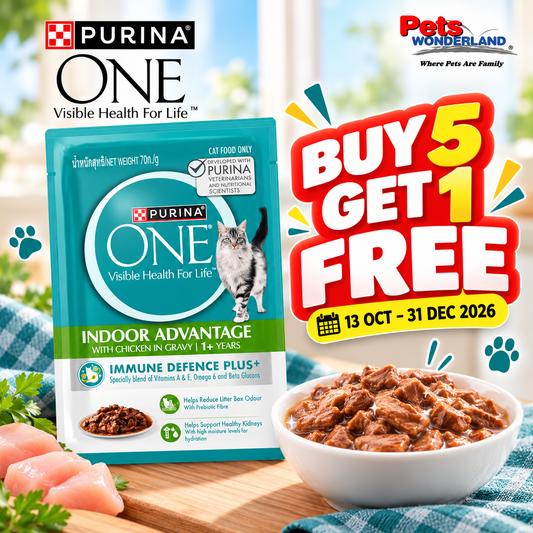 BUY 5 GET 1 FREE - ONE Adult Cat Indoor Chicken Pouch 70g