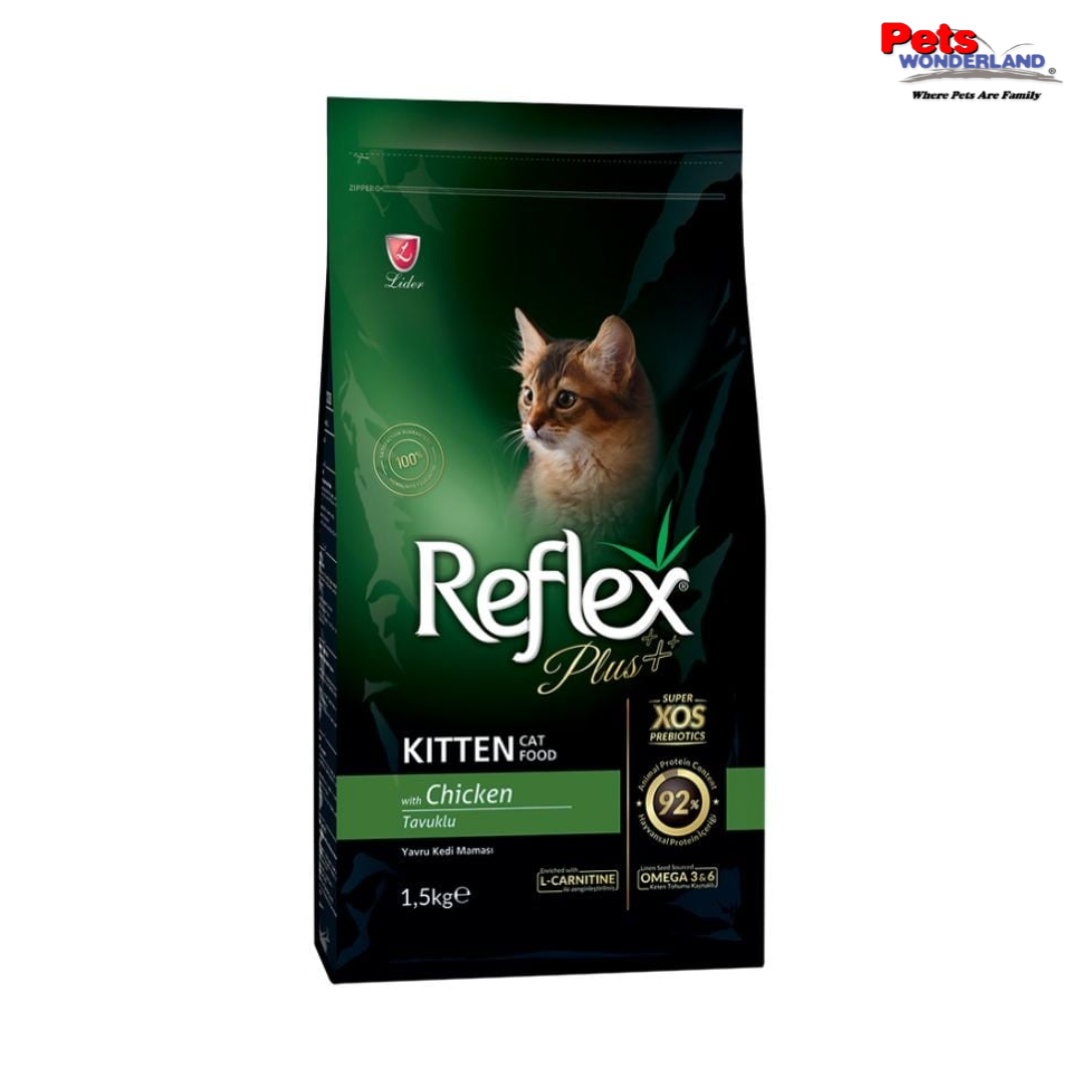 Reflex Plus Kitten