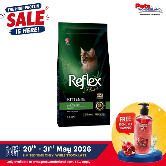 Reflex Plus Kitten
