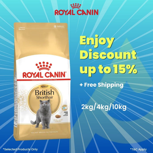 Royal Canin British Shorthair Adult Cat Dry Food 4kg