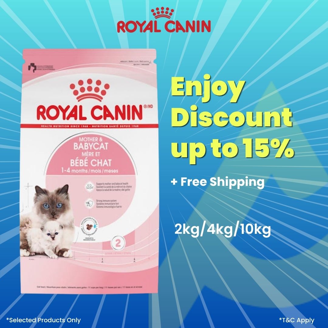 Royal Canin Baby Cat 2kg