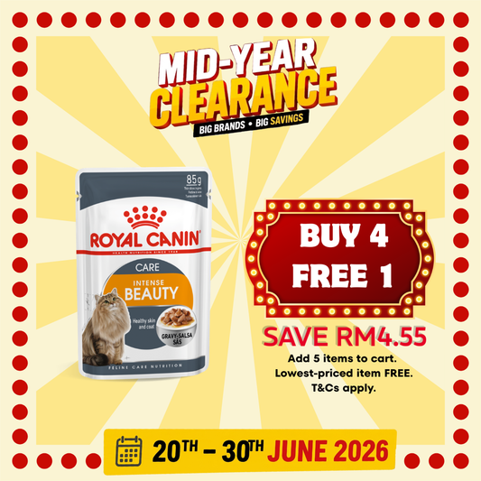 Royal Canin Intense Beauty Care Cat Wet Pouch 85g