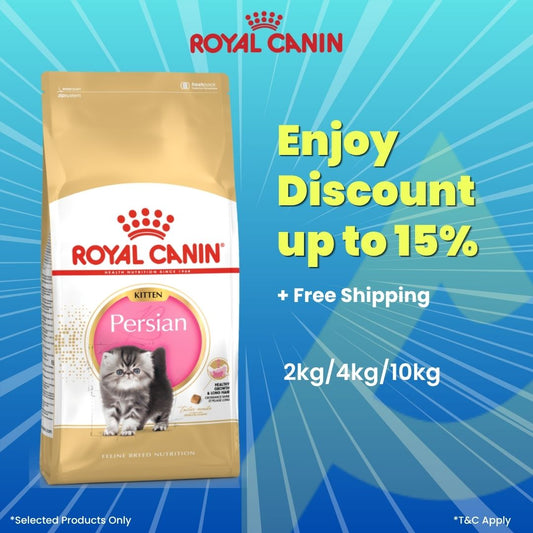 Royal Canin Kitten Persian Cat Dry Food 2kg