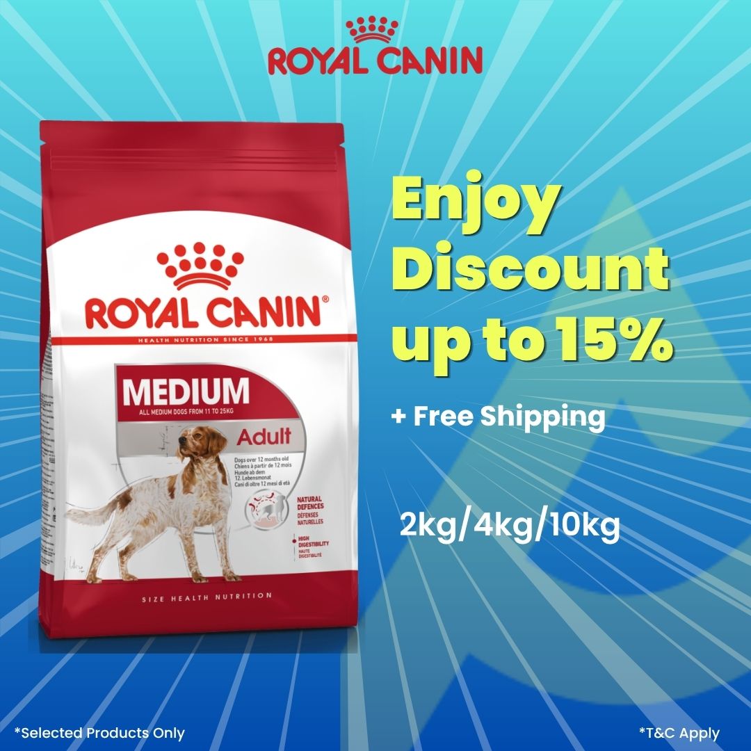 Royal Canin Medium Adult Dog Dry Food 10kg