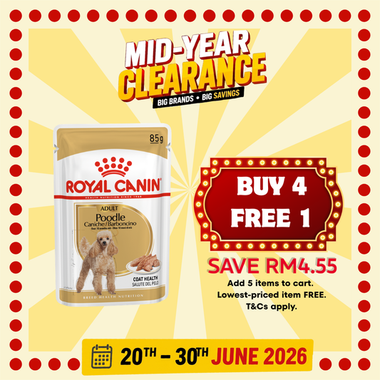 Royal Canin Poodle Adult Dog Wet Pouch 85g