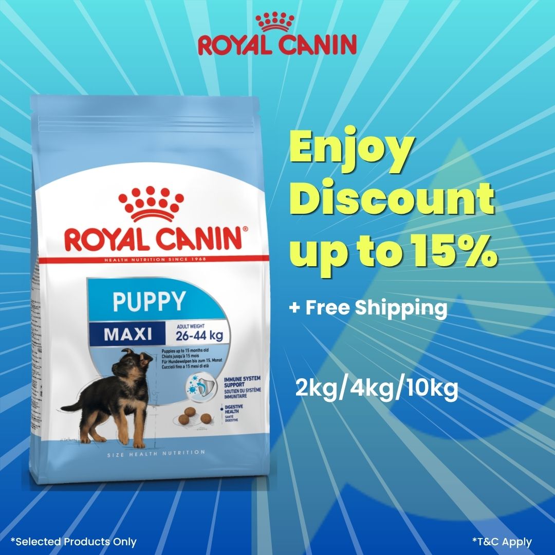 Royal Canin Puppy Maxi Dog Dry Food 4kg