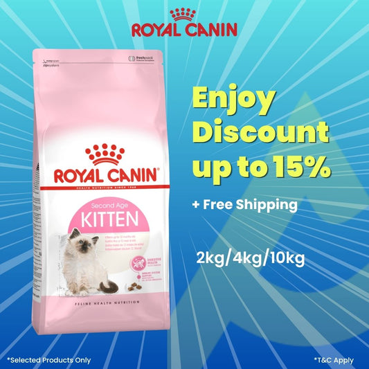 Royal Canin Second Age Kitten Cat Dry Food 4kg