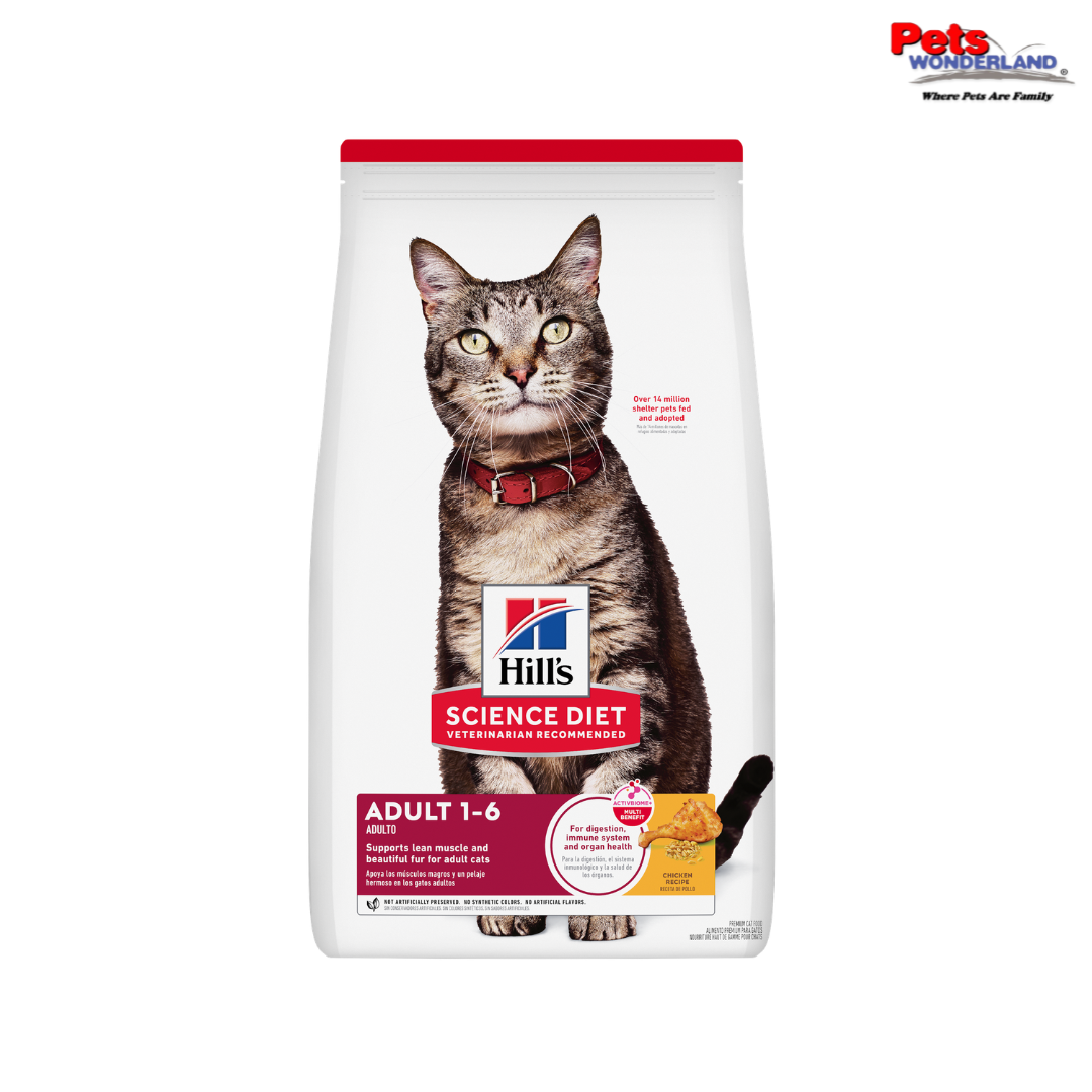 Science Diet Feline Adult Dry Food 4kg