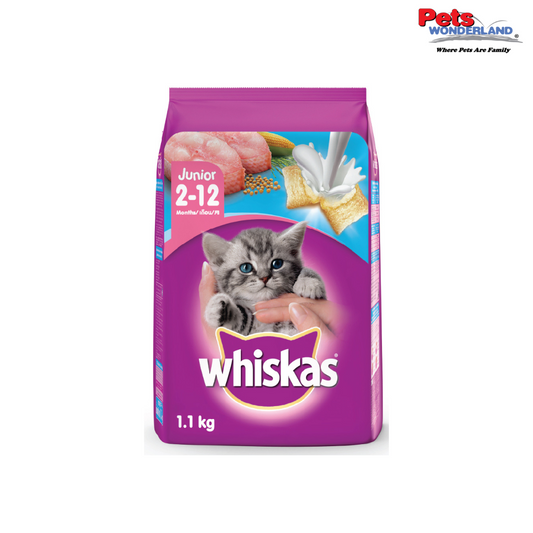WHISKAS Cat Dry Food Junior Ocean Fish 1.1kg