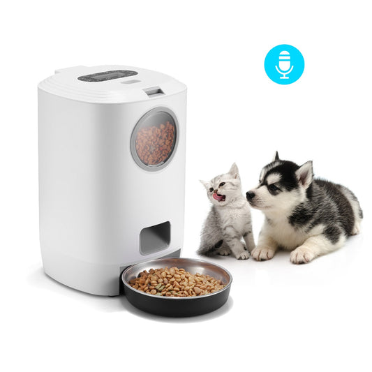 Pet Auto Feeder 6L