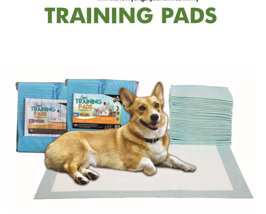 CY 7 Days Training Pads (Size L)
