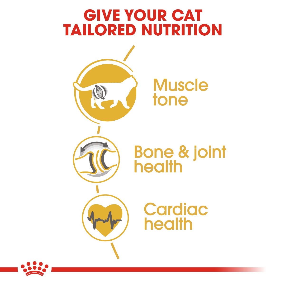 Royal Canin British Shorthair Adult Cat Dry Food 4kg