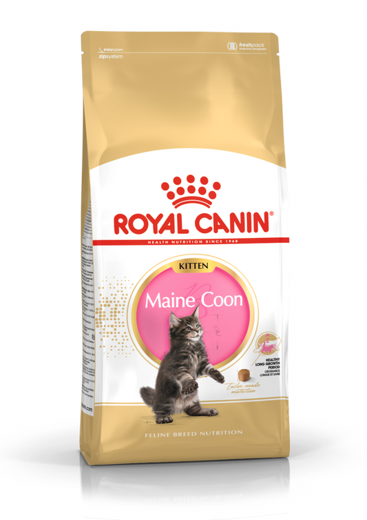 Royal Canin Maine Coon Kitten Cat Dry Food 4kg