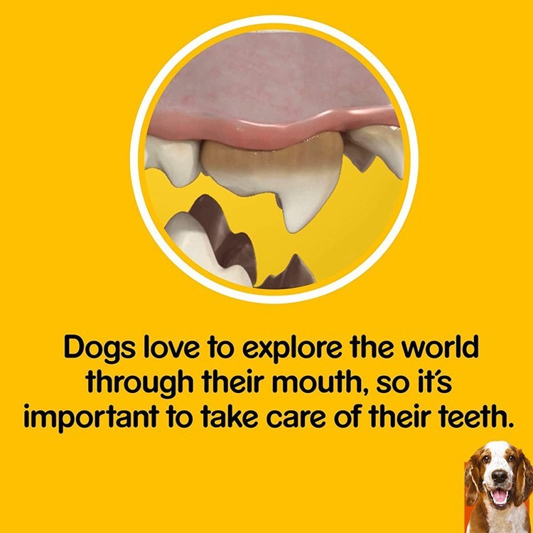 Pedigree DentaStix Puppy Dog Dental Care/Treats (56g)