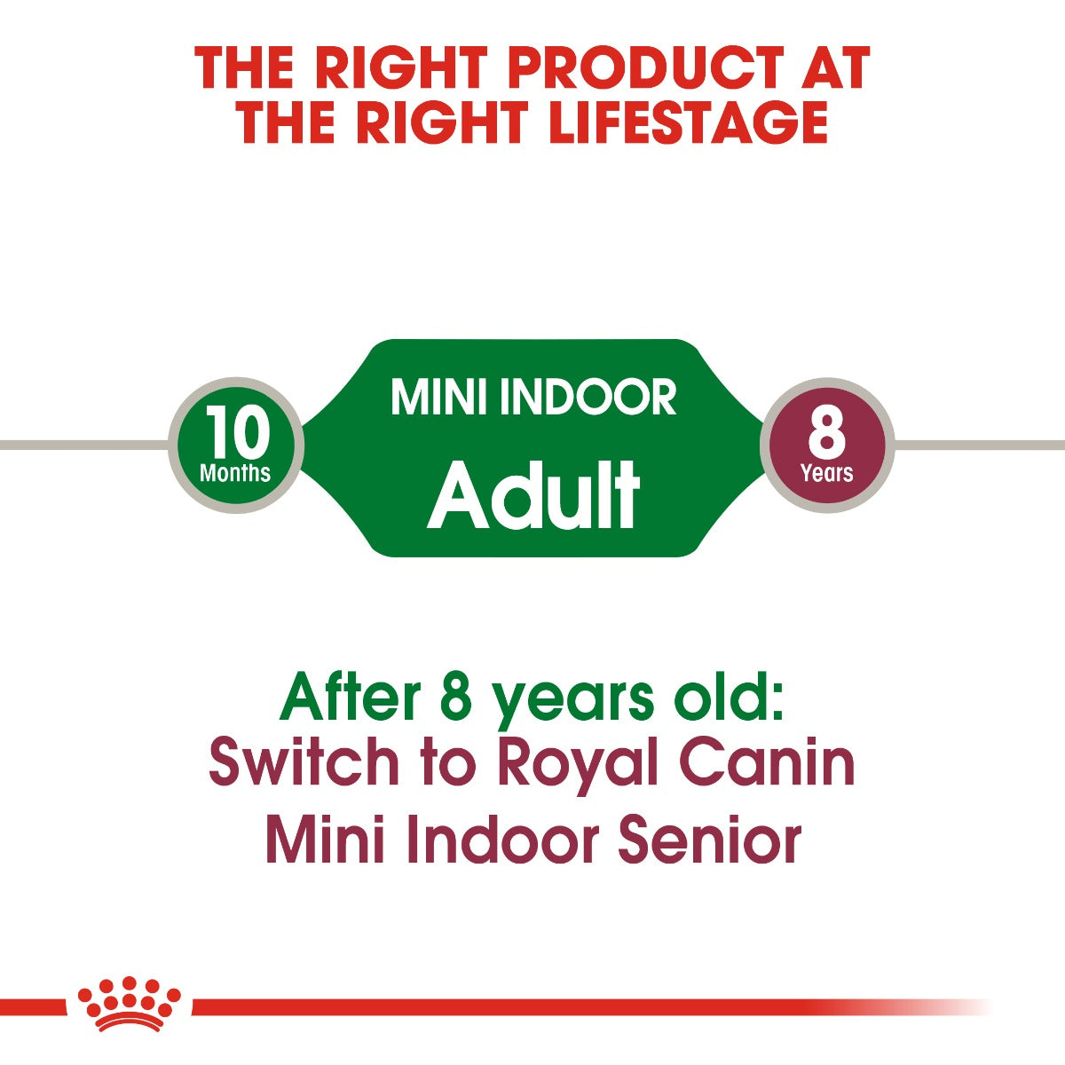 Royal Canin Mini Indoor Adult Dog Dry Food 1.5kg
