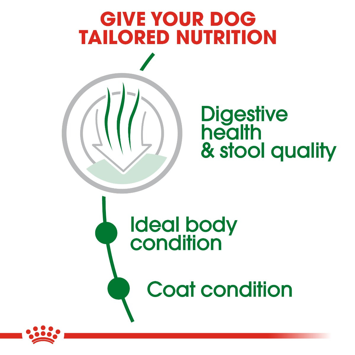 Royal Canin Mini Indoor Adult Dog Dry Food 1.5kg