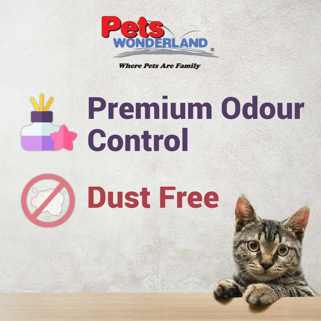 BUY2FREE1 - Haisenpet Tofu Cat Litter Green Tea 6L- 6lx3packs -PROMOTION